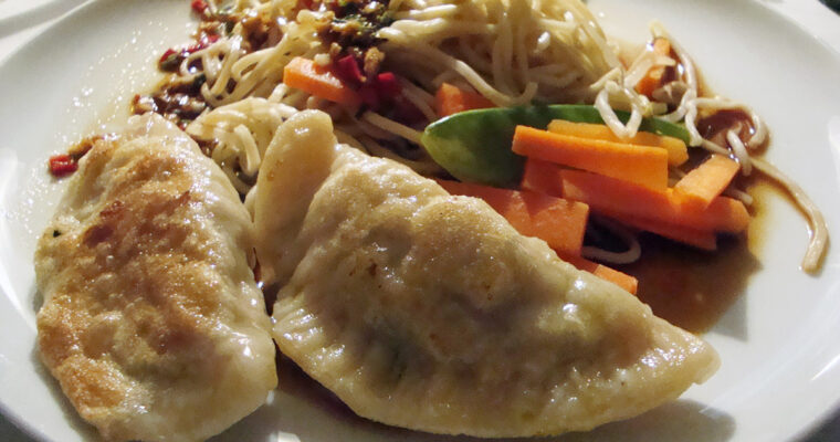 Kinesiske dumplings med dippingsauce, chow mein med grøntsager