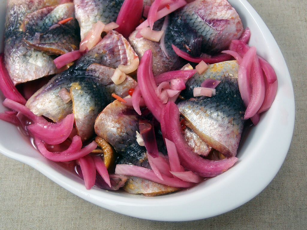 Roolmops Rollmops - rullede sild - Piskeriset på Eventyr