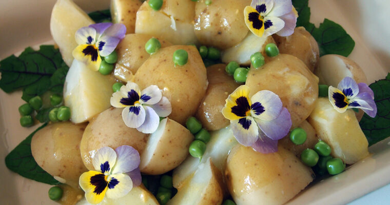 Kartoffelsalat med sennepsdressing