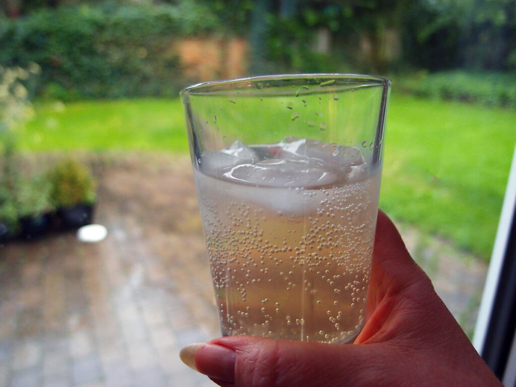 Hjemmelavet gin med citron og koriander Piskeriset på Eventyr