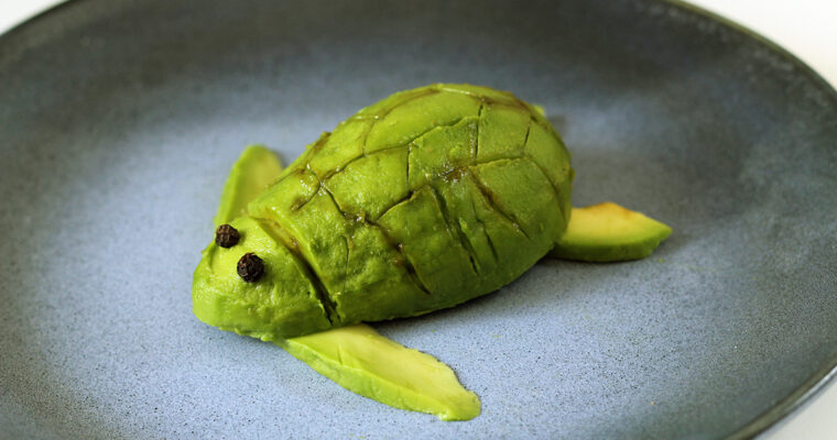 Avokado skildpadde