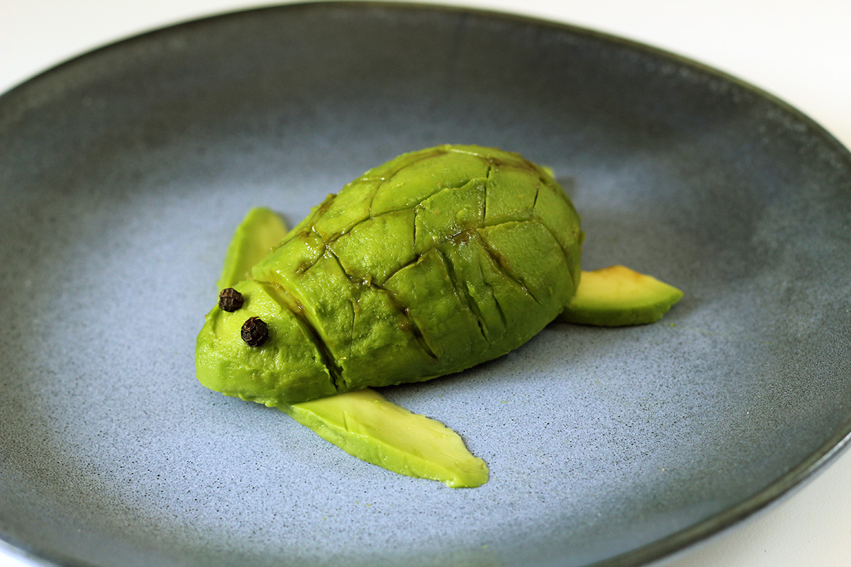 Avokado skildpadde