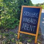 by stokkebye, vingård, vingård på Fyn, dansk vingård, stokkebye, dansk vin