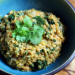 daal med spinat, spinat daal, spinat dhal, dhal, daal med grøntsager, linser, spinat, gurkemeje, garam masala, chili, spidskommen, koriander, hvidløg, løg,