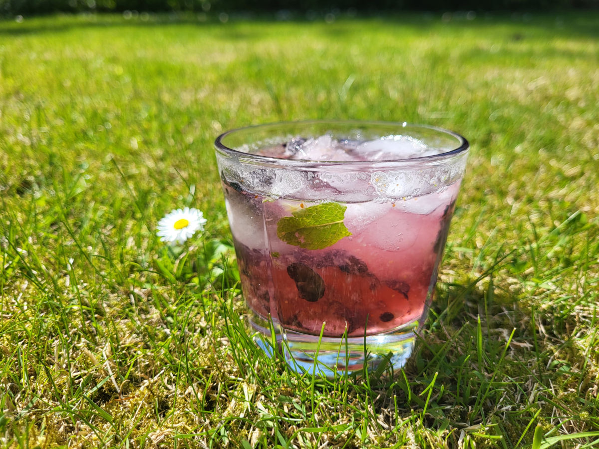 Blåbærdrink uden alkohol