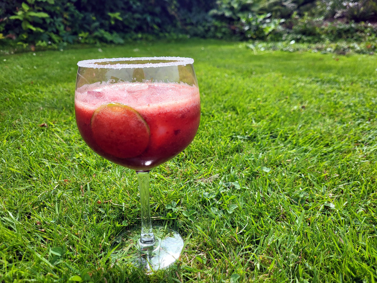 Cremet nektarindrink