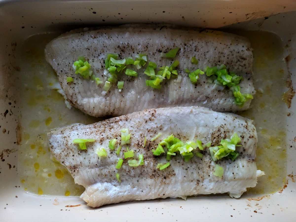 Citronmarineret havkat