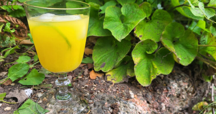 Citrus Summer drink
