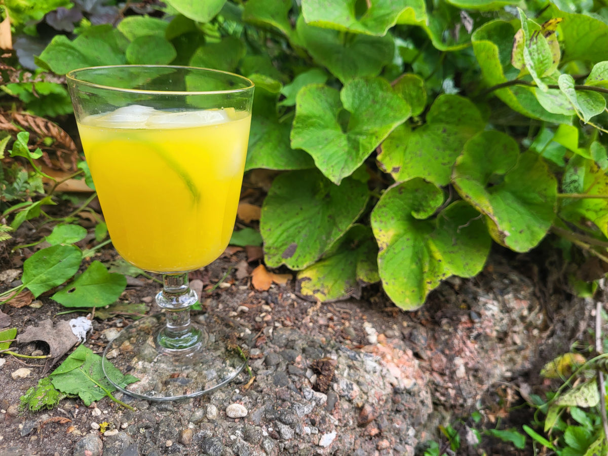 Citrus Summer drink