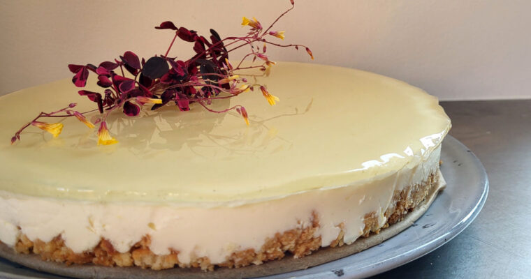 Koldskåls-cheesecake