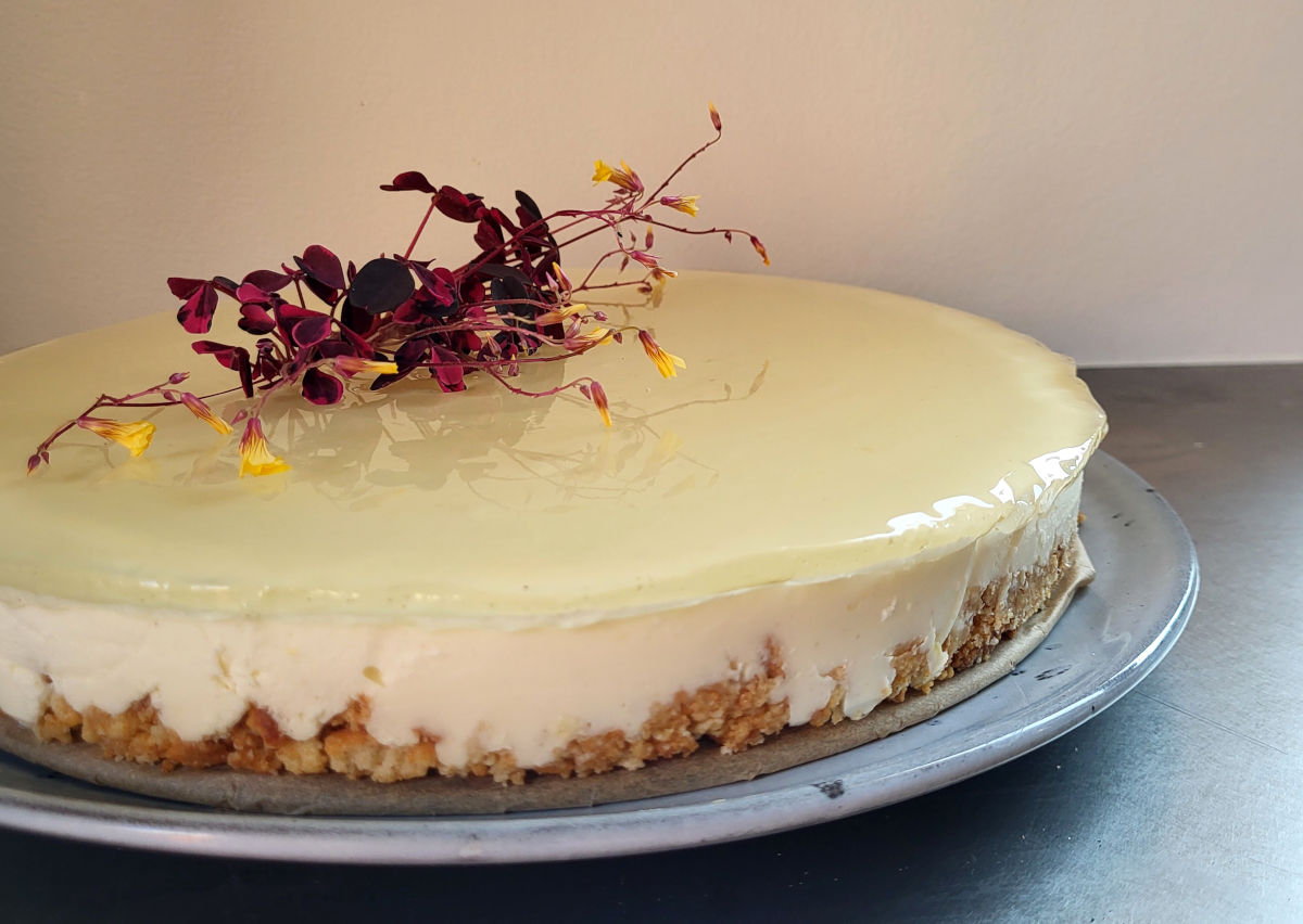 Koldskåls-cheesecake