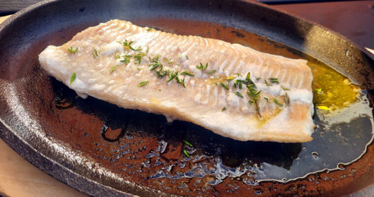 Grillet havkat