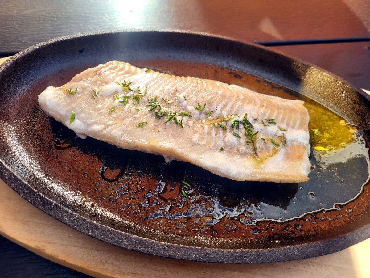 Grillet havkat